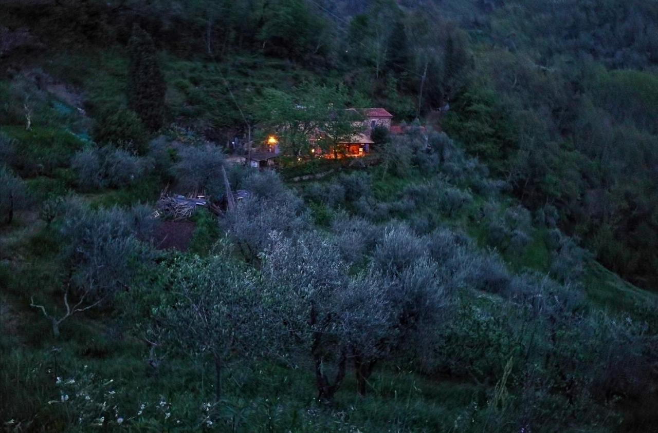Agriturismo Tananei Marliana Exterior foto