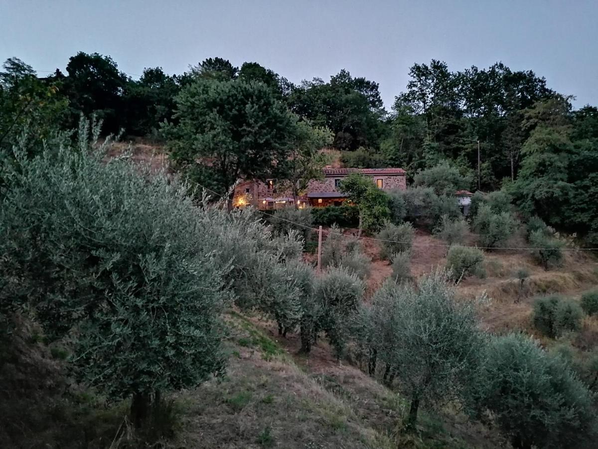 Agriturismo Tananei Marliana Exterior foto