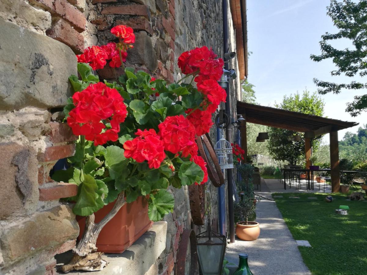 Agriturismo Tananei Marliana Exterior foto